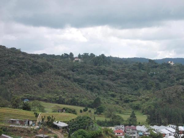Hotel Chua Gin Cameron Highlands Exterior foto